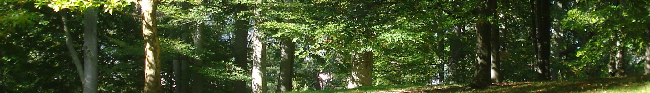 Prince William Trails and Streams Coalition