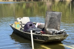 Hooes-Run-Oct-4-2025-4