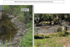 pond-before-after